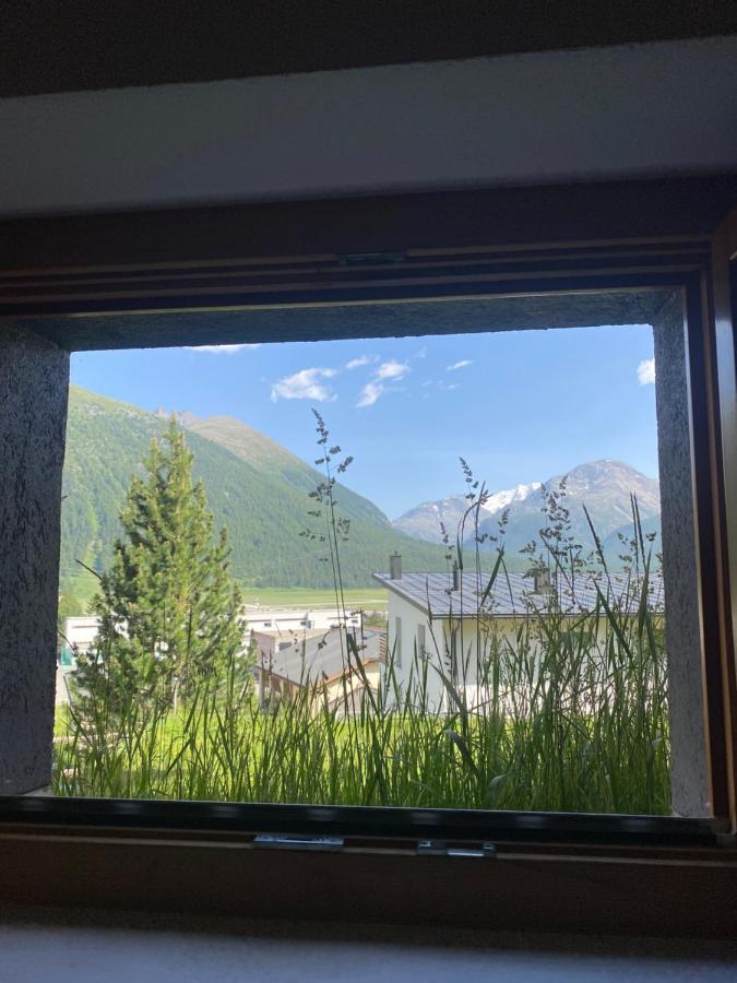 Relaxing Confortable Studio, Heated Garage, Skiroom ซาเมอดัน ภายนอก รูปภาพ